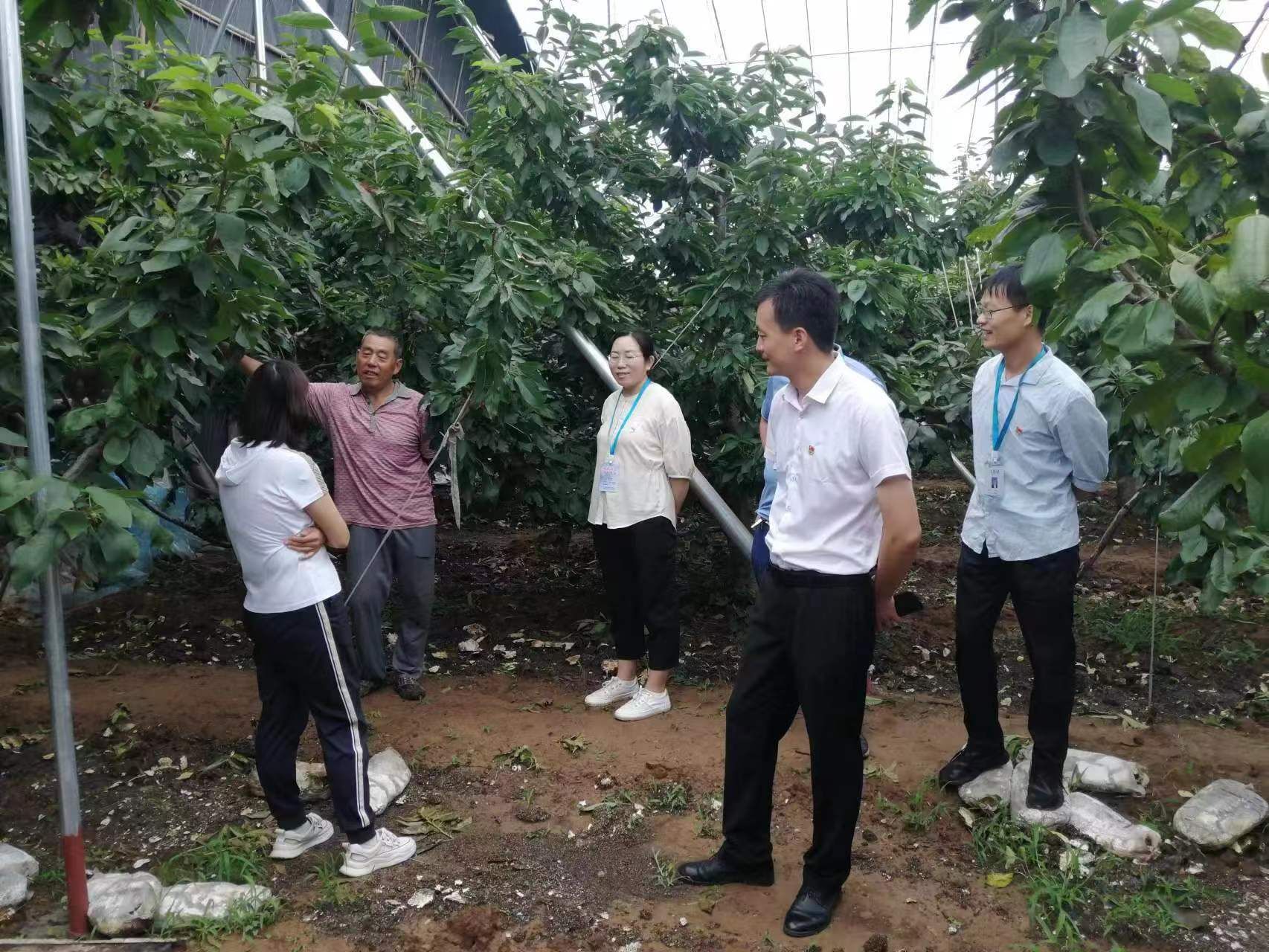 一群男人和女人站在树下中度可信度描述已自动生成